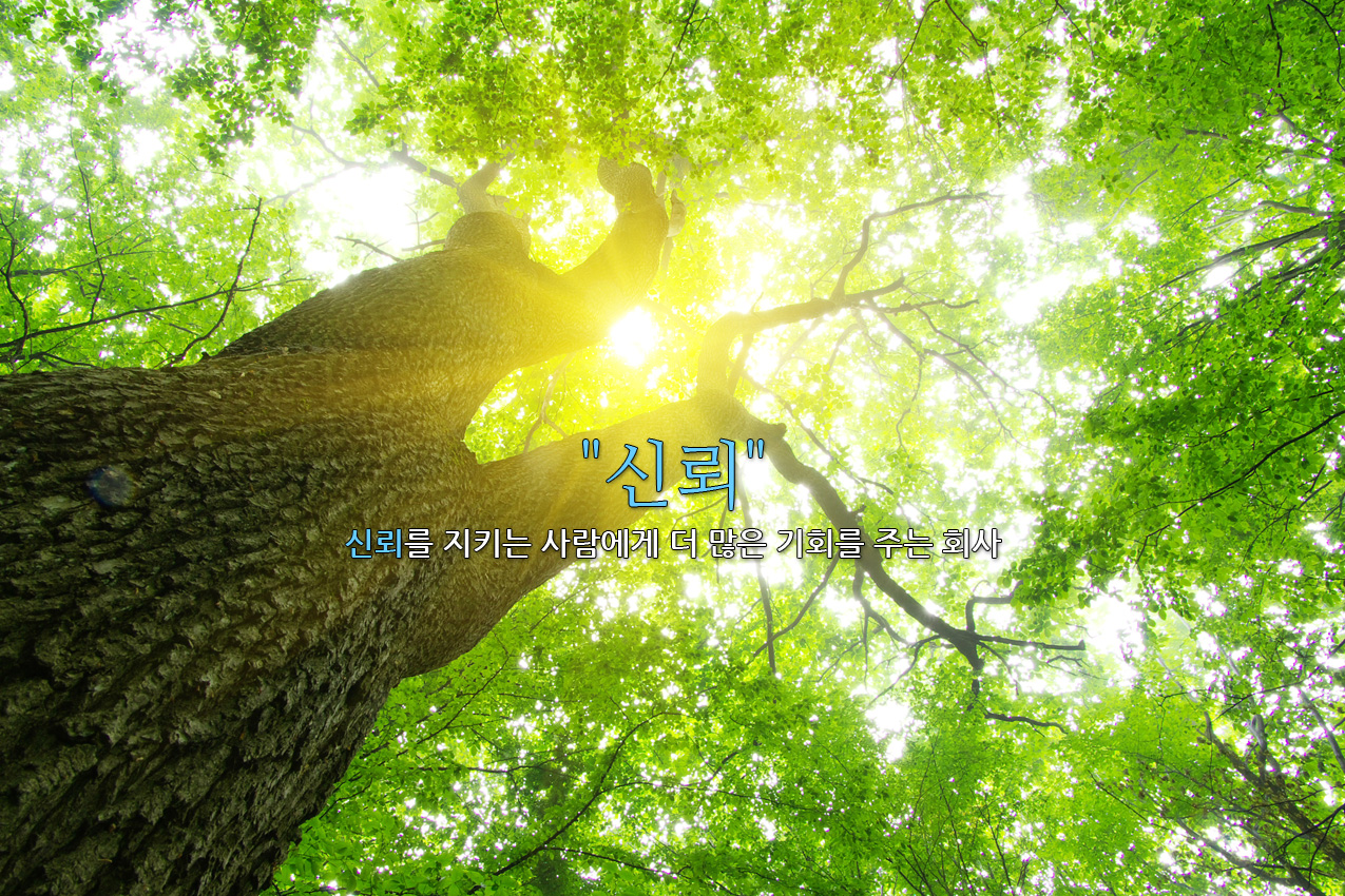 중국어 게시판 테스트